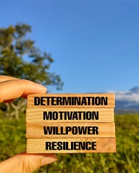 Resilience As Virtue Thumbnail